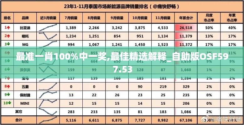 最准一肖100%中一奖,最佳精选解释_自助版OSF597.53