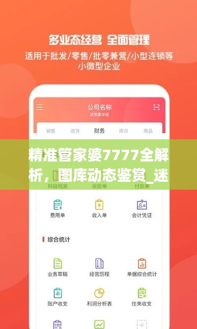 精准管家婆7777全解析，图库动态鉴赏_迷你FRO650.48版