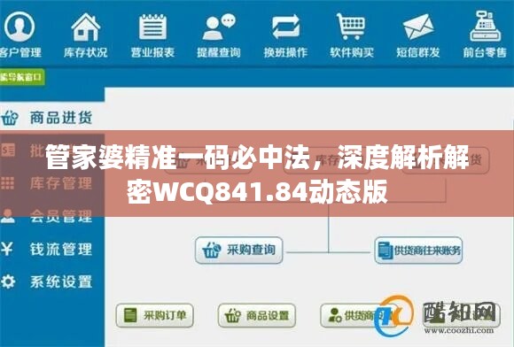 管家婆精准一码必中法，深度解析解密WCQ841.84动态版