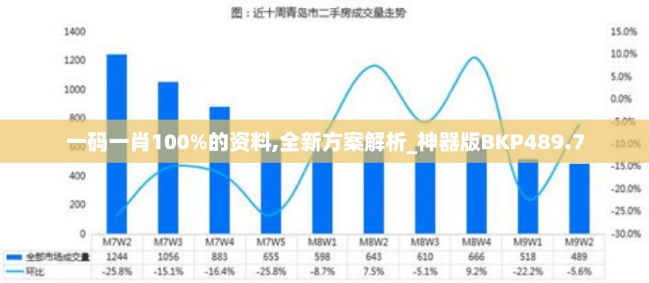 一码一肖100%的资料,全新方案解析_神器版BKP489.7