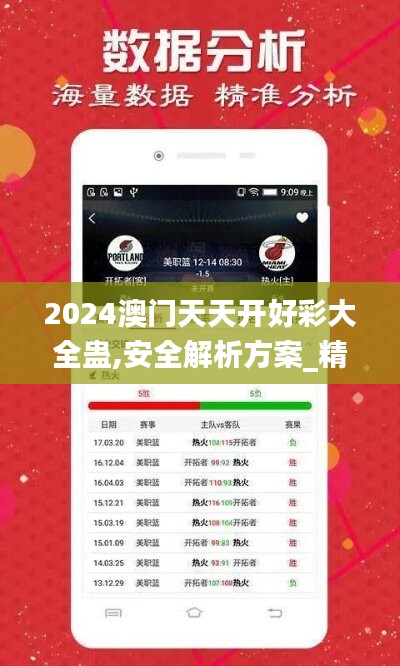 2024澳门天天开好彩大全蛊,安全解析方案_精华版BMK842.8