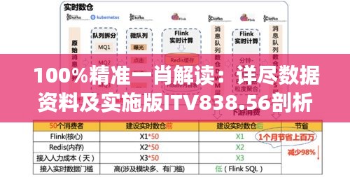 100%精准一肖解读：详尽数据资料及实施版ITV838.56剖析