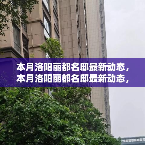 洛阳丽都名邸本月最新动态，全面评测与深度介绍