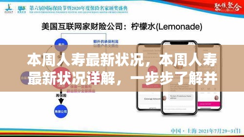 逐步解读寿险计划，本周人寿最新状况详解与管理指南