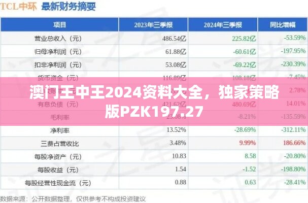 澳门王中王2024资料大全，独家策略版PZK197.27