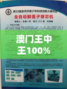 澳门王中王100%中奖预测，深度解析版ABY898.18预览