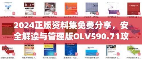 2024正版资料集免费分享，安全解读与管理版OLV590.71攻略