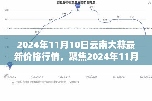 2024年11月10日云南大蒜最新价格行情解析，市场走势多方观点聚焦