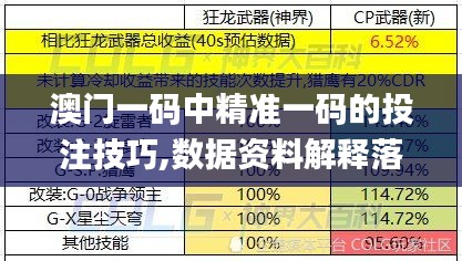 澳门一码中精准一码的投注技巧,数据资料解释落实_个性版AXW218.7