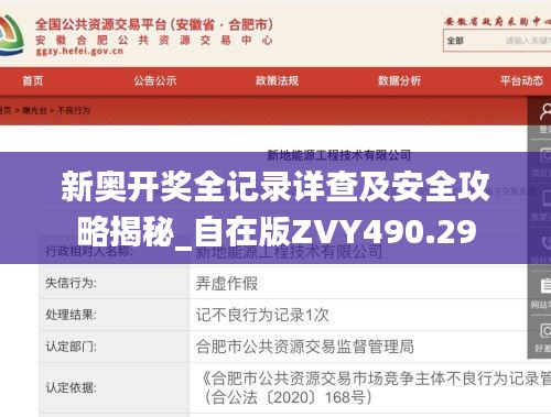 新奥开奖全记录详查及安全攻略揭秘_自在版ZVY490.29