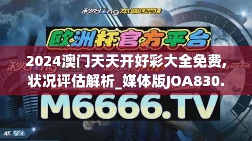 2024澳门天天开好彩大全免费,状况评估解析_媒体版JOA830.53