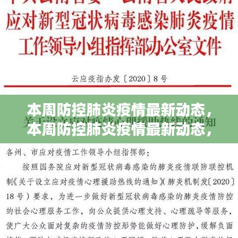 全球防控肺炎疫情最新动态，应对策略与关键进展周报速递