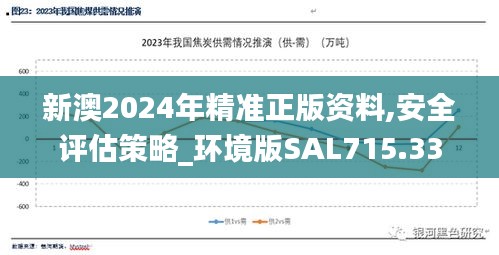 新澳2024年精准正版资料,安全评估策略_环境版SAL715.33