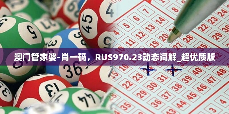 澳门管家婆-肖一码，RUS970.23动态词解_超优质版