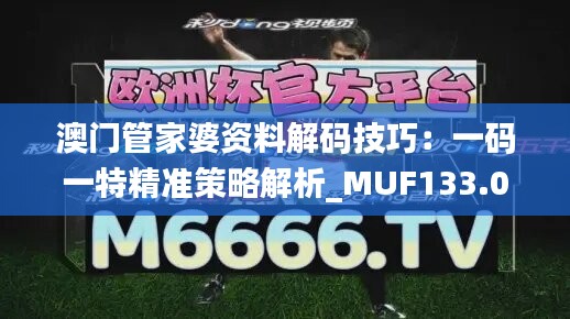 澳门管家婆资料解码技巧：一码一特精准策略解析_MUF133.03影音版