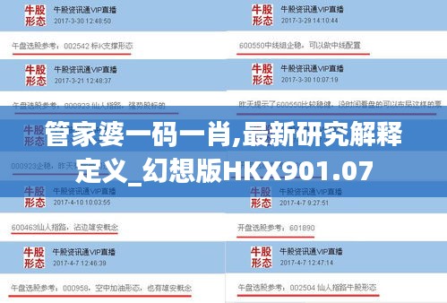 管家婆一码一肖,最新研究解释定义_幻想版HKX901.07