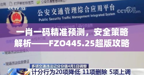 一肖一码精准预测，安全策略解析——FZO445.25超版攻略