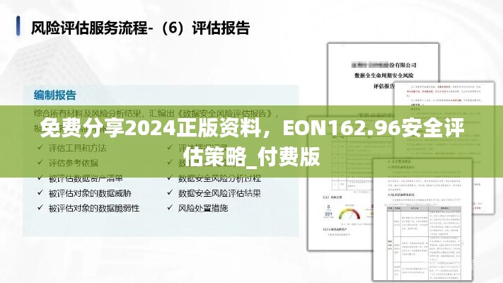 免费分享2024正版资料，EON162.96安全评估策略_付费版