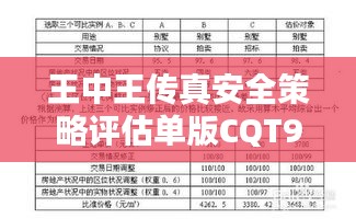 王中王传真安全策略评估单版CQT910.56