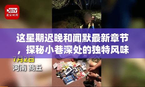 探秘小巷深处的独特风味，迟晚闻默最新章节隐藏小店的奇遇