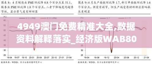 4949澳门免费精准大全,数据资料解释落实_经济版WAB807.13