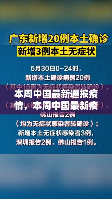 中国最新疫情通报，全面解析及关注热点本周更新报告