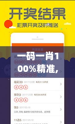 一码一肖100%精准,专业执行问题_娱乐版LSP510.84