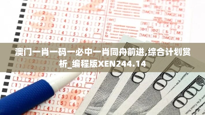 澳门一肖一码一必中一肖同舟前进,综合计划赏析_编程版XEN244.14