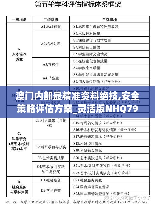 澳门内部最精准资料绝技,安全策略评估方案_灵活版NHQ797.6