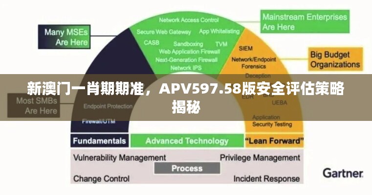 新澳门一肖期期准，APV597.58版安全评估策略揭秘