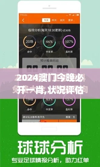 2024澳门今晚必开一肖,状况评估解析_公开版GCE717.03