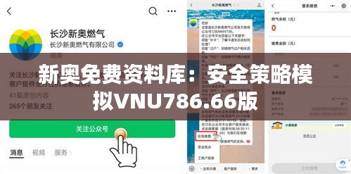 新奥免费资料库：安全策略模拟VNU786.66版