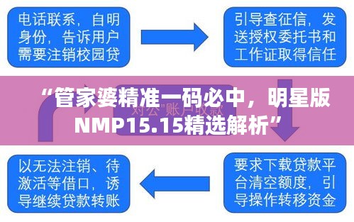 “管家婆精准一码必中，明星版NMP15.15精选解析”