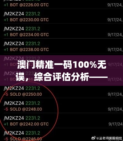 澳门精准一码100%无误，综合评估分析——自助版ICJ127.93