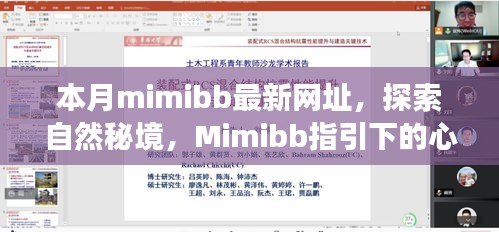 Mimibb最新网址，心灵之旅探索自然秘境的启程点