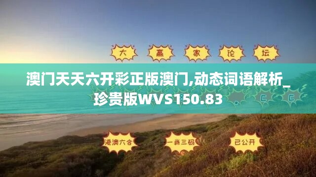 澳门天天六开彩正版澳门,动态词语解析_珍贵版WVS150.83