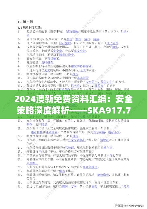 2024澳新免费资料汇编：安全策略深度解析——SKA917.72版直观解读