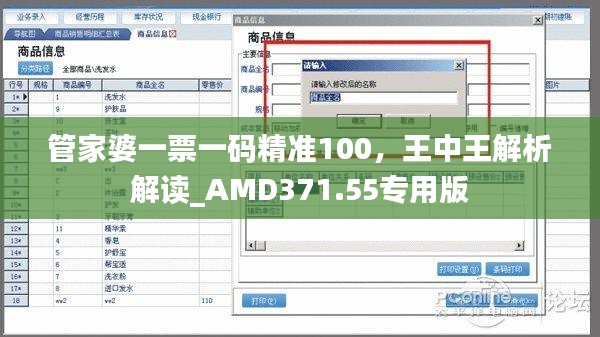 管家婆一票一码精准100，王中王解析解读_AMD371.55专用版