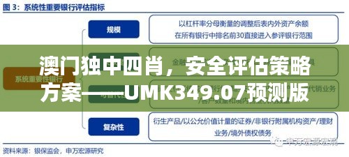 澳门独中四肖，安全评估策略方案——UMK349.07预测版