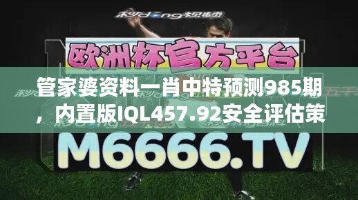 管家婆资料一肖中特预测985期，内置版IQL457.92安全评估策略