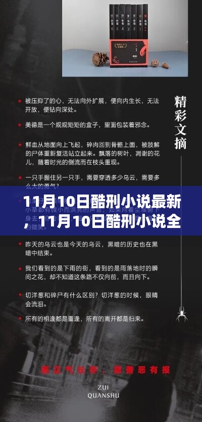 11月10日酷刑小说全新篇章，悬疑与惊悚的交汇点