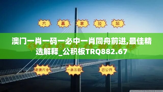 澳门一肖一码一必中一肖同舟前进,最佳精选解释_公积板TRQ882.67