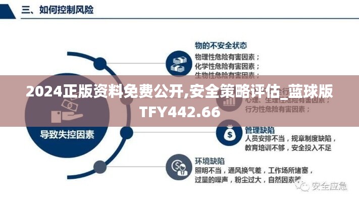 2024正版资料免费公开,安全策略评估_蓝球版TFY442.66