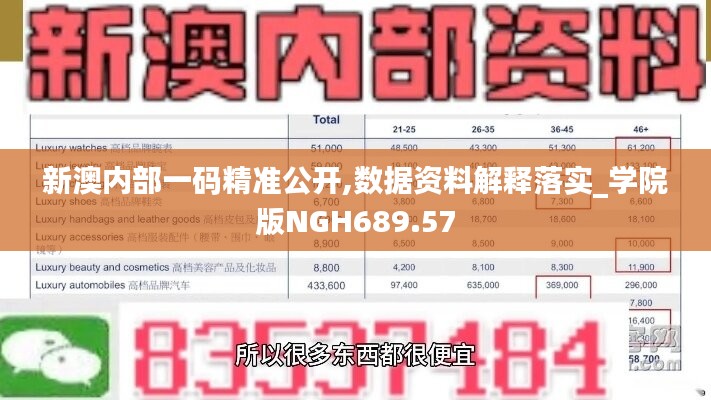 新澳内部一码精准公开,数据资料解释落实_学院版NGH689.57