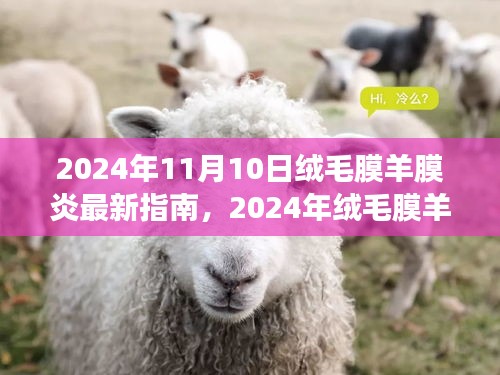 2024年绒毛膜羊膜炎最新指南解读，关注疾病管理与治疗进展