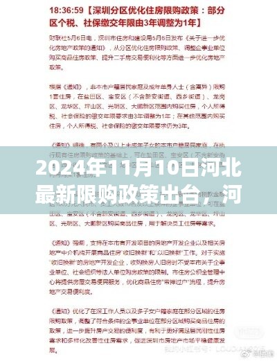 河北最新限购政策深度解读，2024年视角