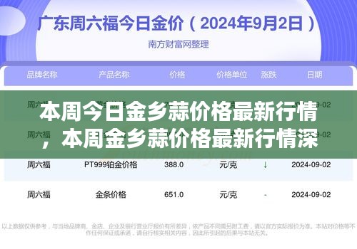 本周金乡蒜价格行情深度解析与最新行情介绍