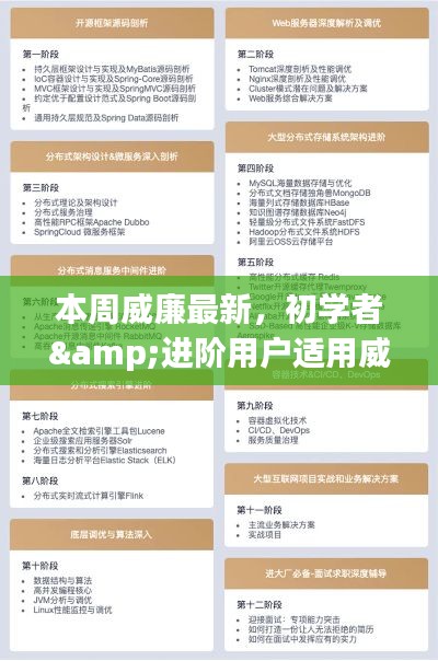 威廉本周技能学习全攻略，初学者与进阶者的进阶之路，成为专家步骤详解