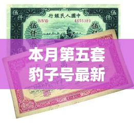 本月第五套豹子号珍贵藏品最新价格与市场走势分析