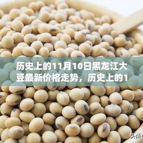 黑龙江大豆价格走势背后的励志故事，历史上的11月10日最新走势揭秘